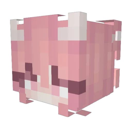 Rochella Minecraft avatar head, 3D render