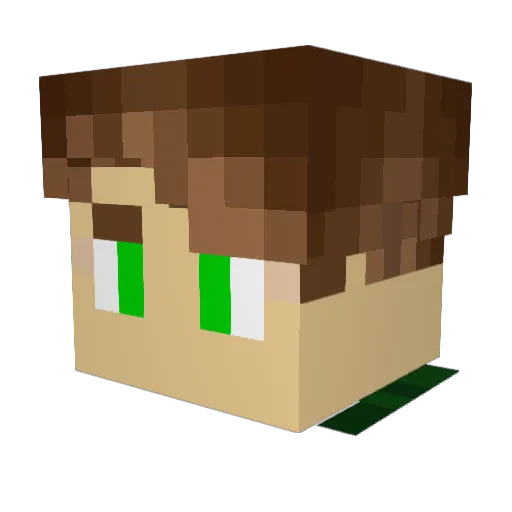 Rochen1 Minecraft avatar head, 3D render