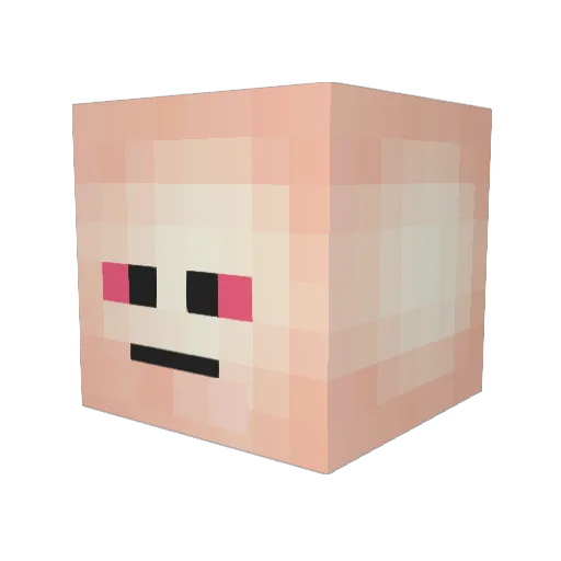 Rock1lee Minecraft avatar head, 3D render