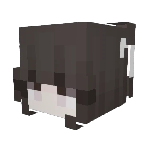 Rock475 Minecraft avatar head, 3D render