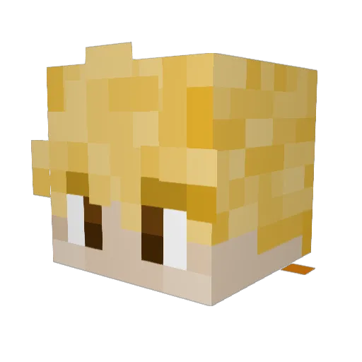 RockAardvark539 Minecraft avatar head, 3D render