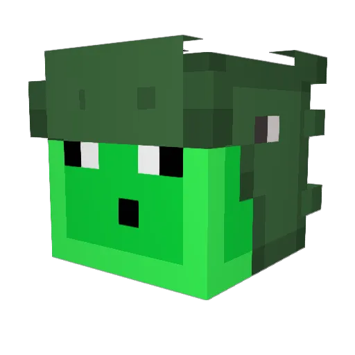 RockLattice_ Minecraft avatar head, 3D render
