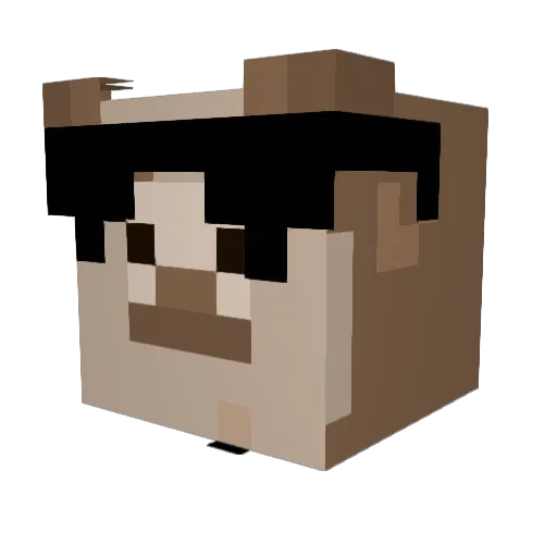 RockLlama1 Minecraft avatar head, 3D render