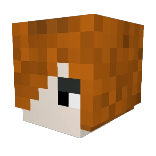 RockMan24 Minecraft avatar head, 3D render