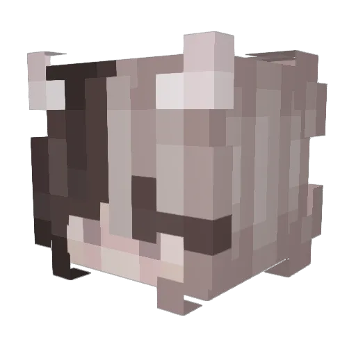 RockOfDoom_ Minecraft avatar head, 3D render