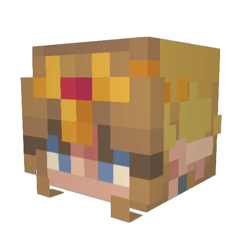 RockPigeon3973 Minecraft avatar head, 3D render