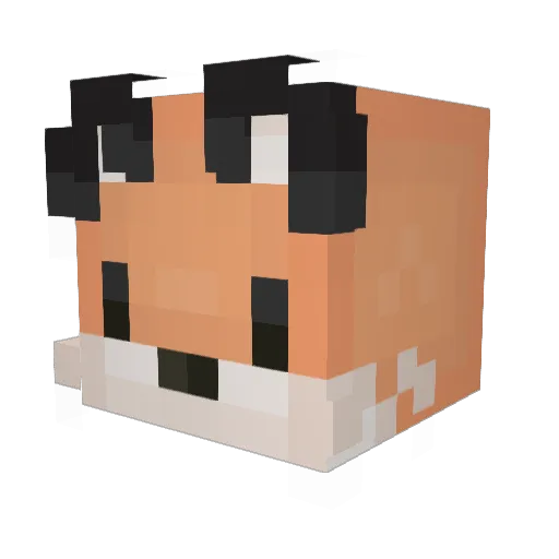 RockRobster420 Minecraft avatar head, 3D render