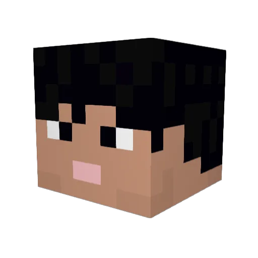 RockSnail489196 Minecraft avatar head, 3D render