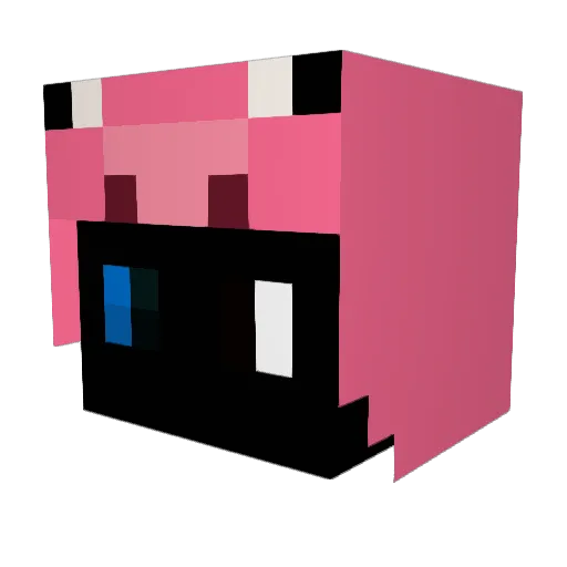 RockTail787 Minecraft avatar head, 3D render