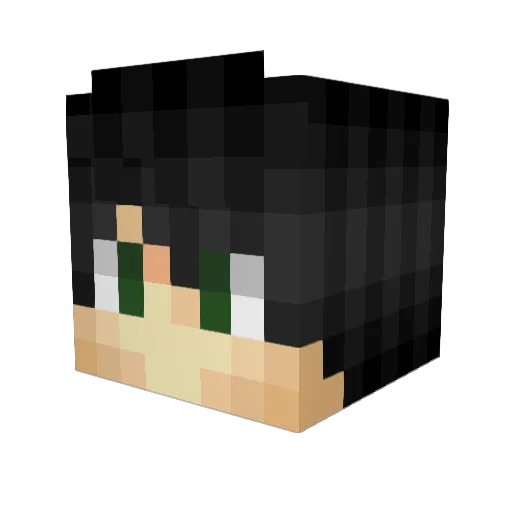 RockTheSock Minecraft avatar head, 3D render