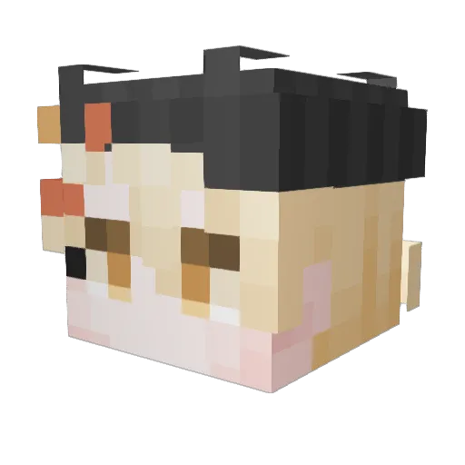 Rock_2E Minecraft avatar head, 3D render