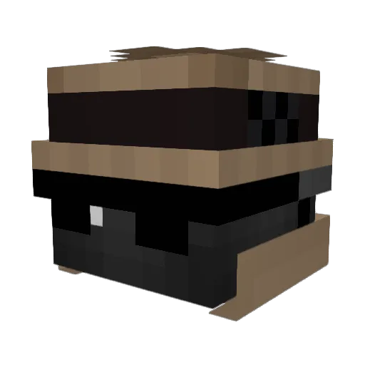 Rockamander Minecraft avatar head, 3D render