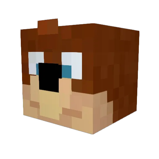 Rockbot992 Minecraft avatar head, 3D render