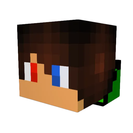 RocketDingo Minecraft avatar head, 3D render