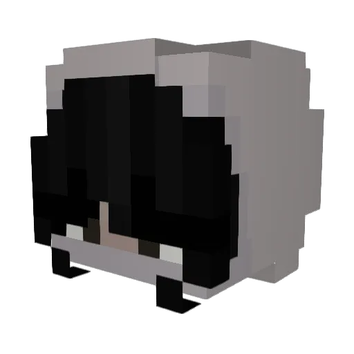 RocketDxD Minecraft avatar head, 3D render