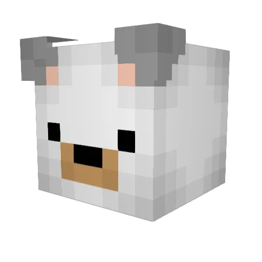 RocketPlayz8 Minecraft avatar head, 3D render