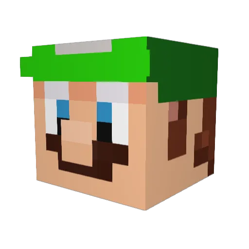 RocketRoo1 Minecraft avatar head, 3D render