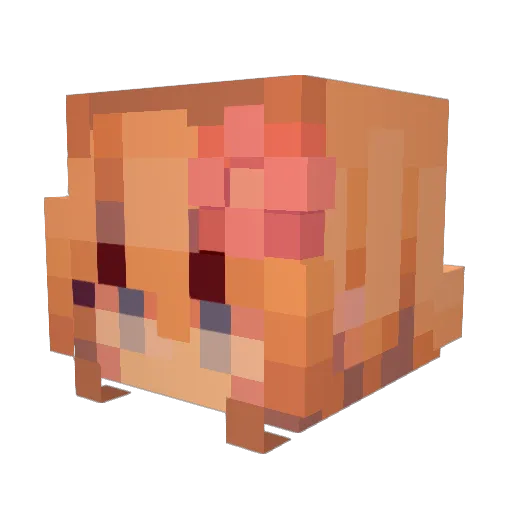 RocketShotgun_ Minecraft avatar head, 3D render
