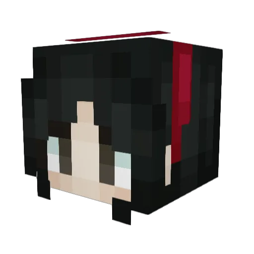 Rocket_Kiwi Minecraft avatar head, 3D render