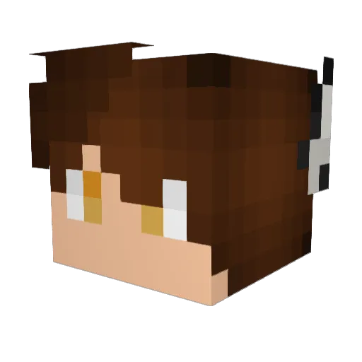 Rocket_Surfa11 Minecraft avatar head, 3D render