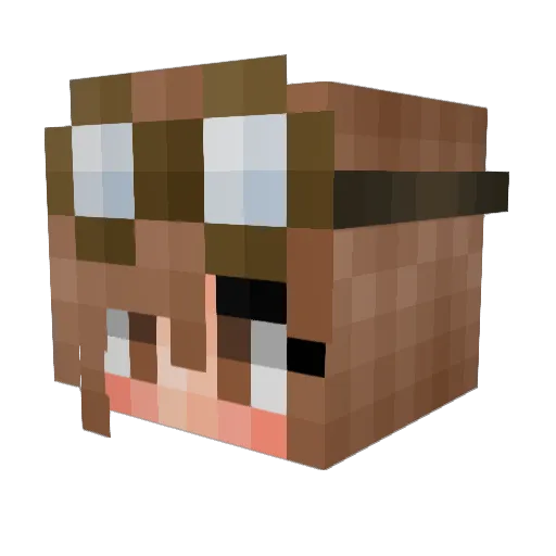 Rocketdog1567 Minecraft avatar head, 3D render