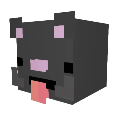 Rocketdogs Minecraft avatar head, 3D render