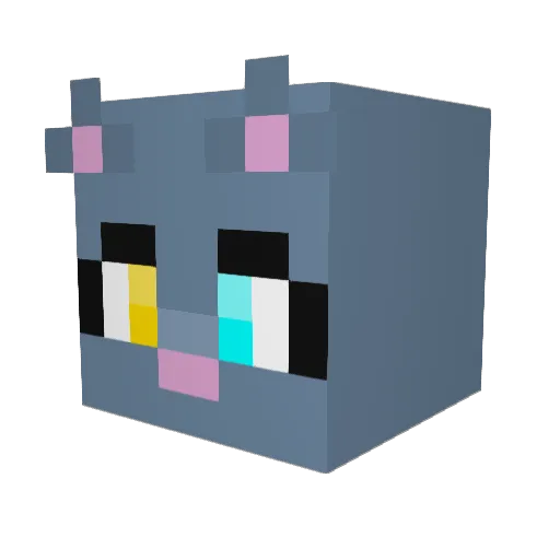 Rocketkat50 Minecraft avatar head, 3D render