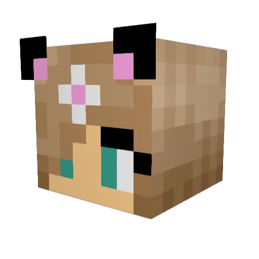 Rocketloc Minecraft avatar head, 3D render