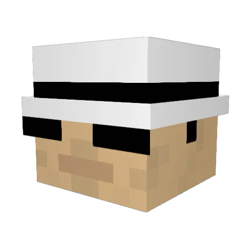 Rocketman114 Minecraft avatar head, 3D render