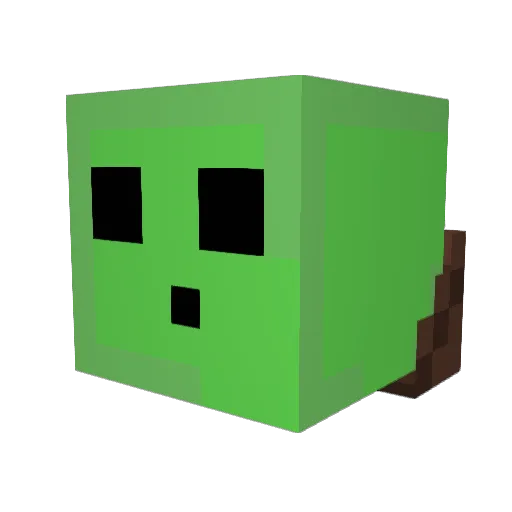 Rocketman257577 Minecraft avatar head, 3D render
