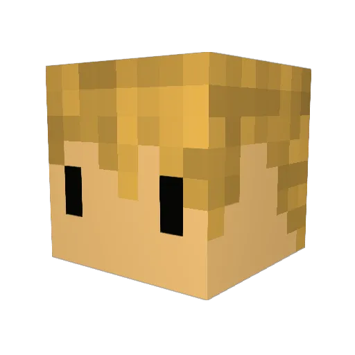 Rocketrnan Minecraft avatar head, 3D render