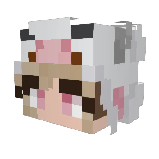 RocketshipPotter Minecraft avatar head, 3D render
