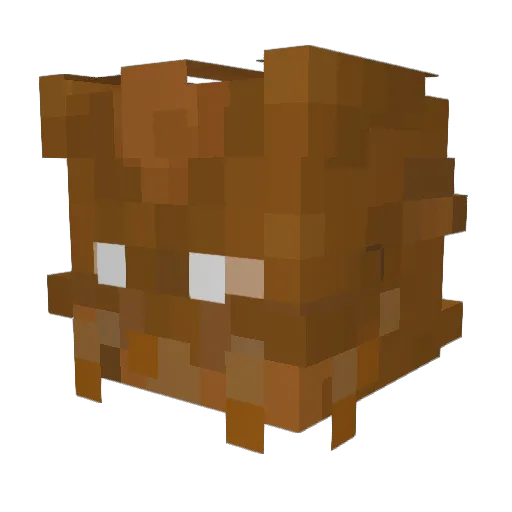 RockhopperHD Minecraft avatar head, 3D render