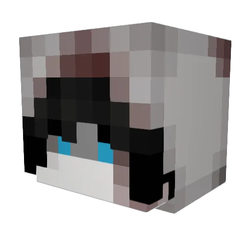 Rocki1802 Minecraft avatar head, 3D render