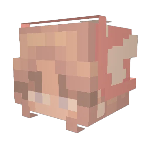 RockinJAnae Minecraft avatar head, 3D render