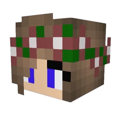 RockinNinja2918 Minecraft avatar head, 3D render