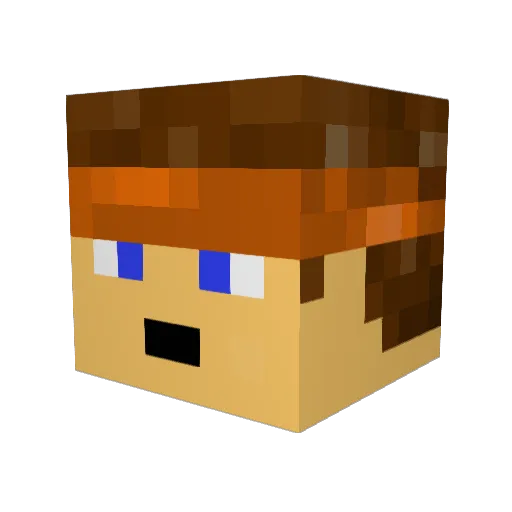 RockinRobin_ Minecraft avatar head, 3D render