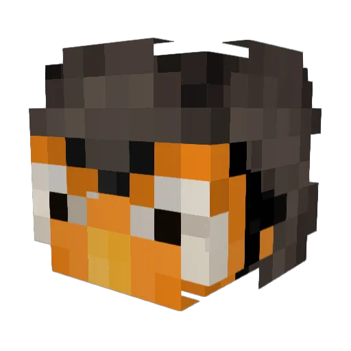 Rockin_RobinXx Minecraft avatar head, 3D render