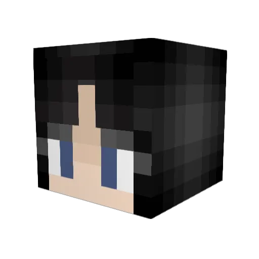 Rockinbirb Minecraft avatar head, 3D render