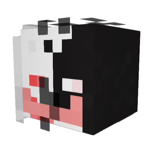 RockingFox17579 Minecraft avatar head, 3D render