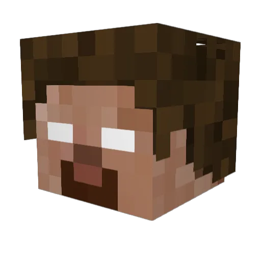Rockinpuddin Minecraft avatar head, 3D render