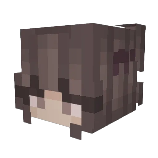 RockitRider Minecraft avatar head, 3D render