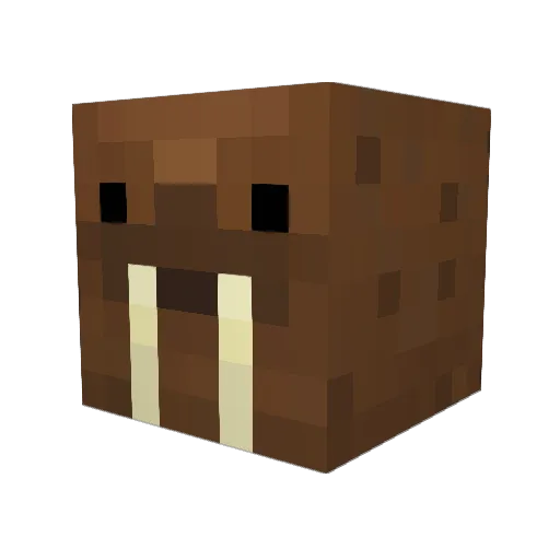Rockit_Dog Minecraft avatar head, 3D render