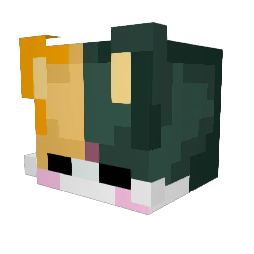 Rocklelli Minecraft avatar head, 3D render