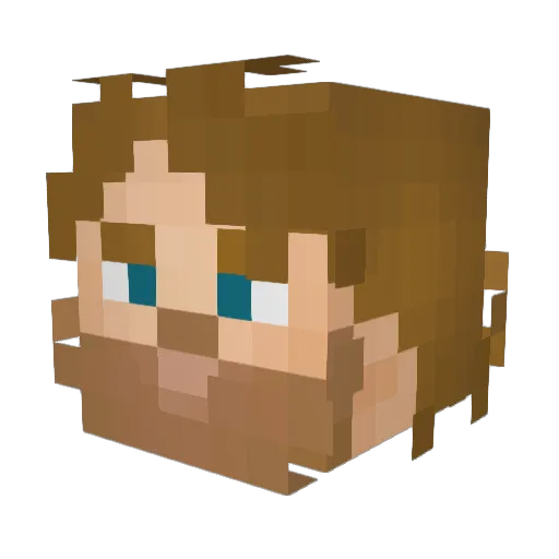 RocknChippy Minecraft avatar head, 3D render