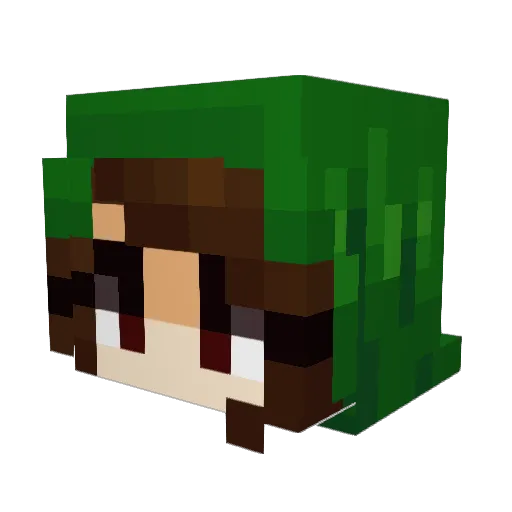 Rocknsocks842 Minecraft avatar head, 3D render