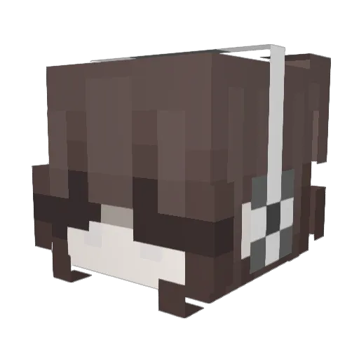 Rocko1313 Minecraft avatar head, 3D render