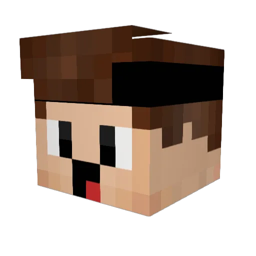 RockoBo Minecraft avatar head, 3D render