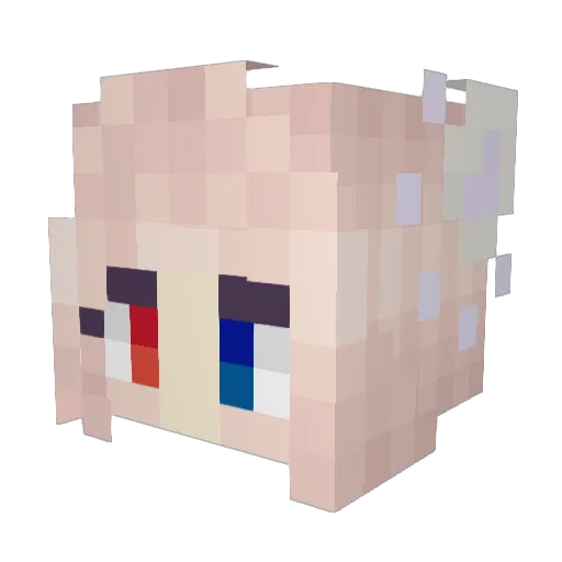 RockoLoco Minecraft avatar head, 3D render
