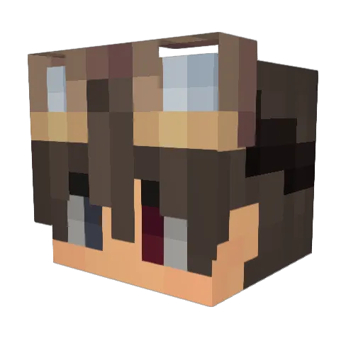 Rockoy4 Minecraft avatar head, 3D render